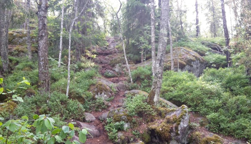 Kestäviä ja järkeviä tekoja ympäristön hyväksi